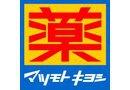 tDs匊k4ڂ̐VzˌĂ̎ӊ